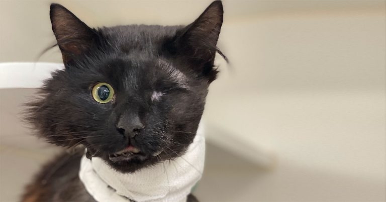 Vicar’s prayers answered thanks to specialist treatment at NDSR