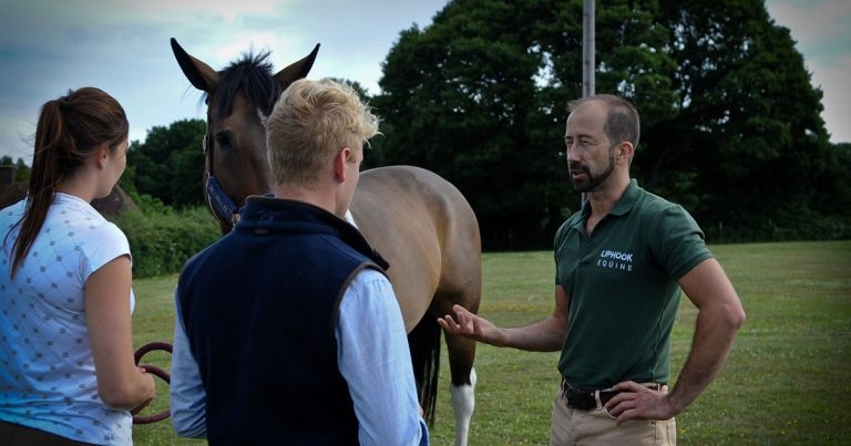 BEVA Congress reveal for recruitment and retention survey results