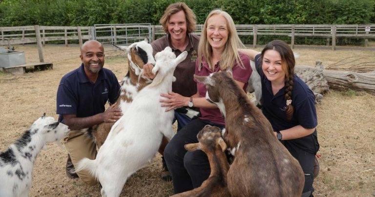 Essex vets enters new countryside charity partnership