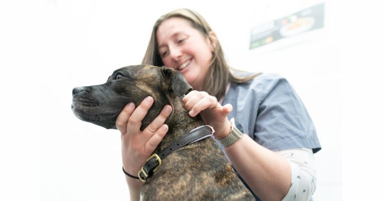 Massage training offered to Kent practice staff