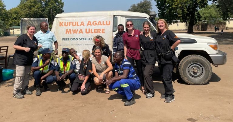 Welsh vets deliver vital rabies protection to Malawi community