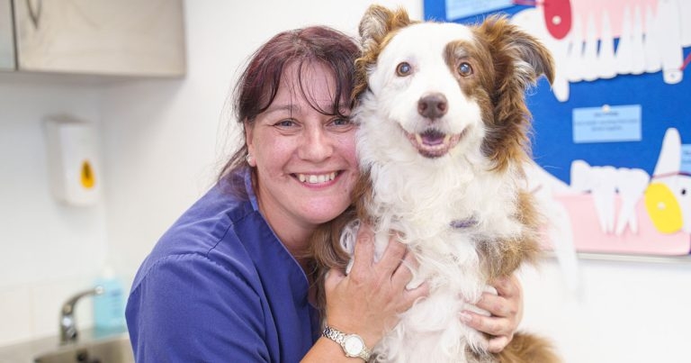 RVN celebrates 30 years in the profession