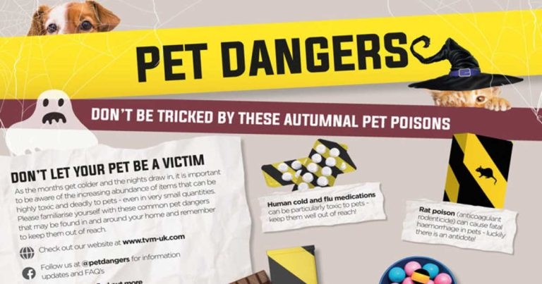 Autumn dangers poster campaign launches