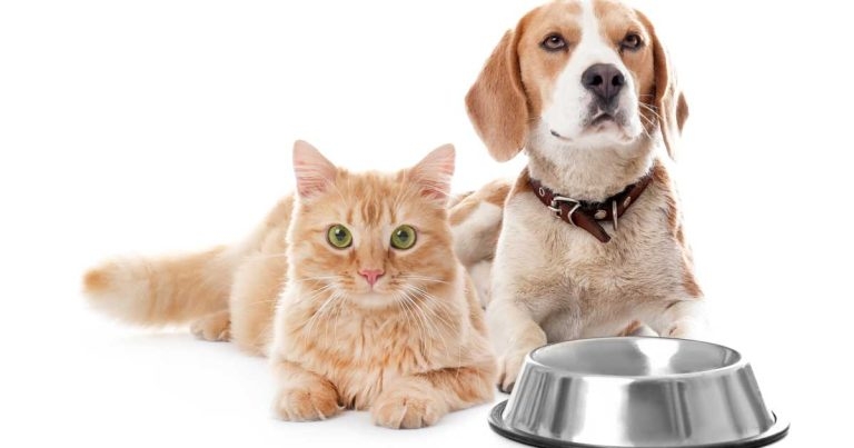 Purina launches nutrition information service for vets and pet owners