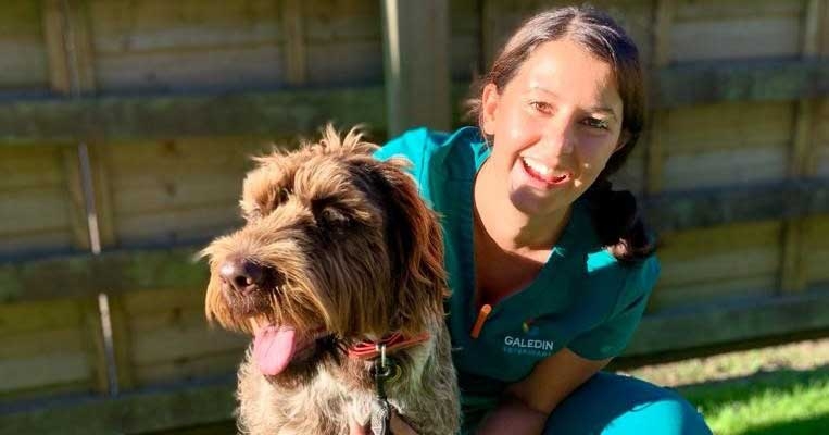 VetSkill celebrates first VN to complete level 5 diploma