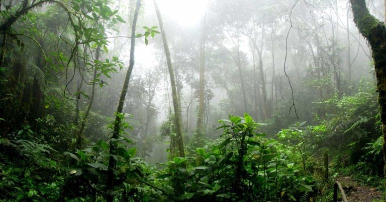 VetPartners unveils long-term environment charity link