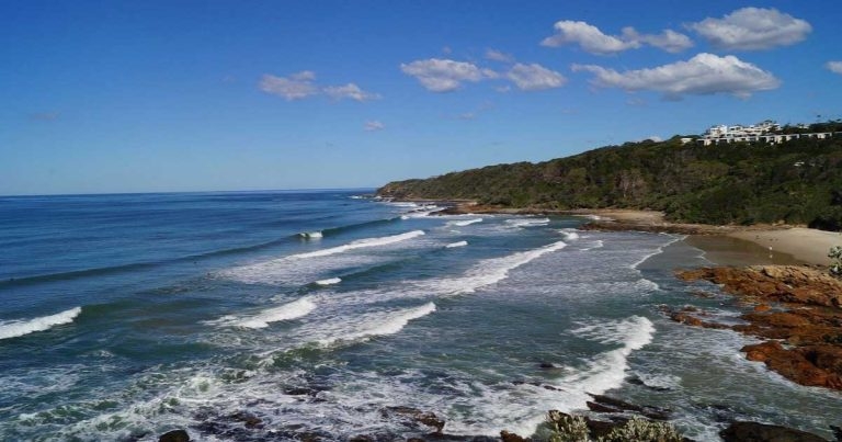 Australian clinical conference opens to international vets