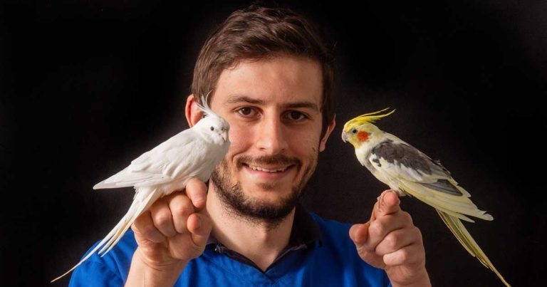 Flying high: vet hospital approved to train avian veterinary specialists