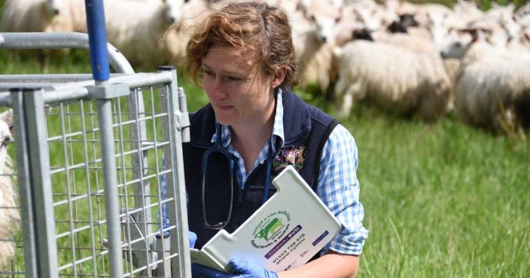 Young farm vets taken under mentors’ wings in new initiative