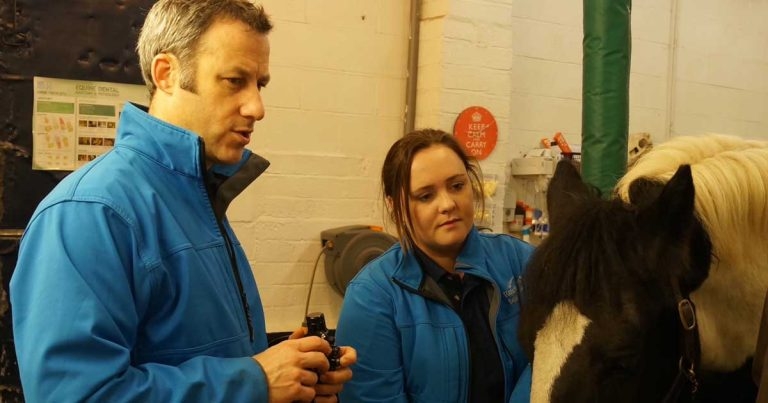 Latest on management of gastric disease in equids