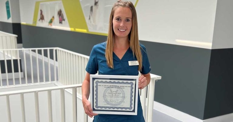 Southfields RVN celebrates VTS qualification