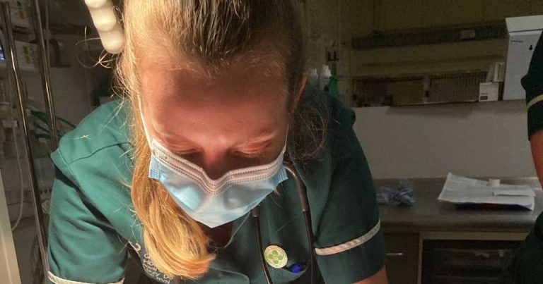 RVC receives accreditation for advanced VN certificate course