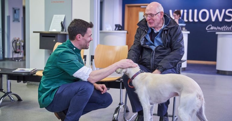 Vet sector, charities and NHS join forces for antibiotic amnesty