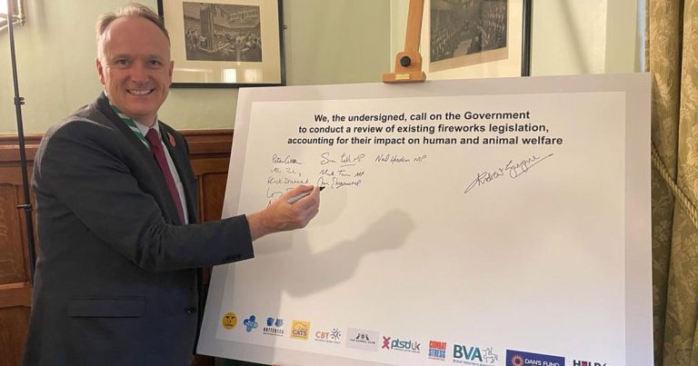 MP urges ‘pragmatic’ firework law change to protect animals