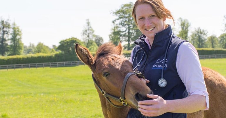 Deadline looms for MSD research bursaries