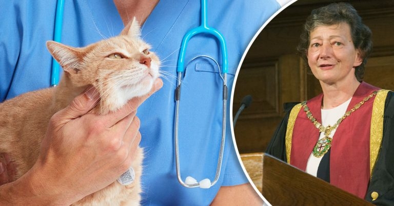 Under care reforms could be profession’s ‘Brexit moment’