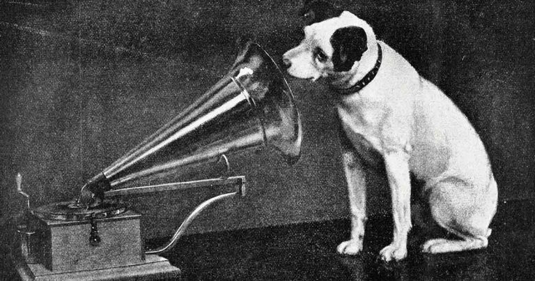 Sensory environmental enrichment in dogs