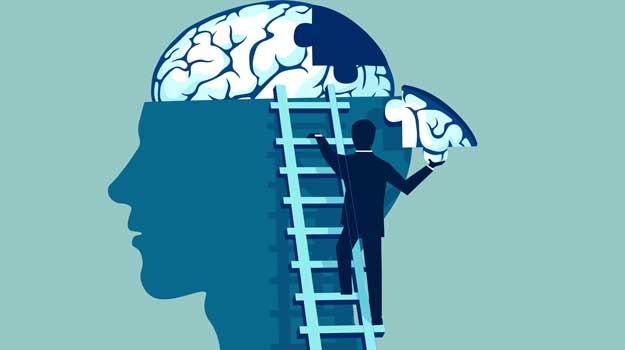 What is a vet expert?