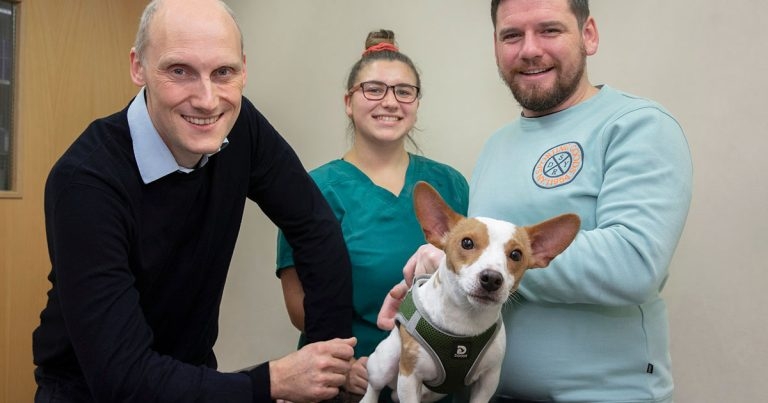 Veterinary team saves George after rebuilding his mangled mandible