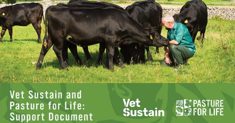 Guidelines launched for vets working with ‘pasture-only’ meat and dairy farmers