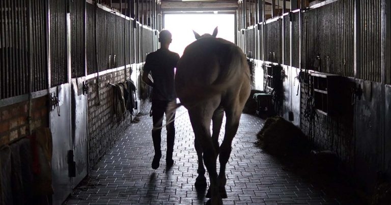 Joining the conversation – ‘when does use become abuse?’