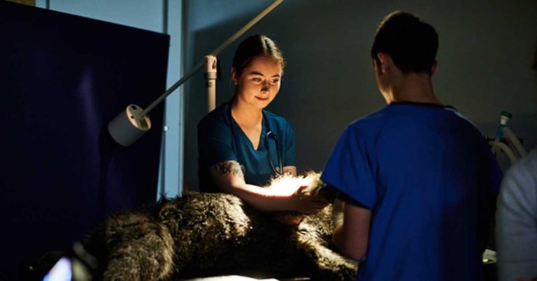 Fifth VN congress for Askham Bryan College to take place in 2023