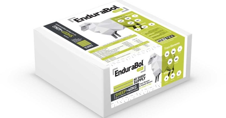 Launch of EnduraBol Sheep provides trace element options