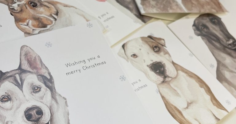 Pets the stars of StreetVet festive fund-raising