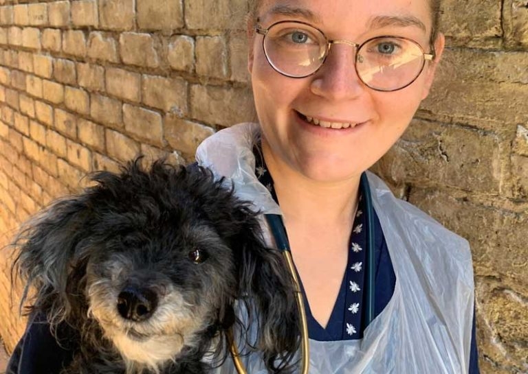 3D guide boosts outcome for intricate surgery in miniature poodle