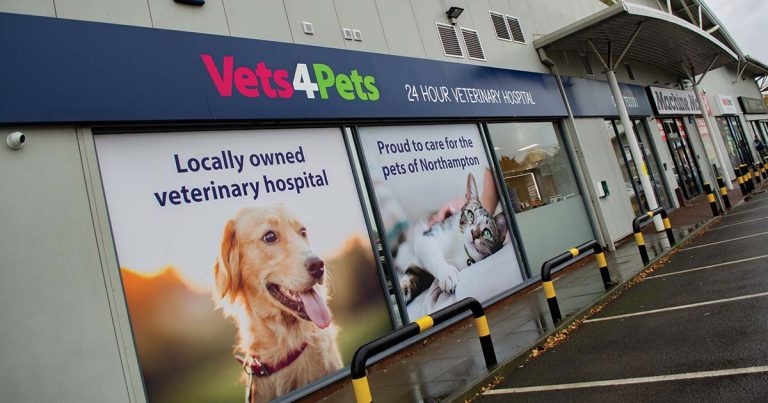 Practice Profile: Vets4Pets Northampton Hospital