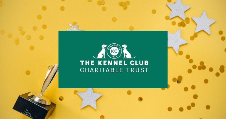 Canine research awards scheme opens