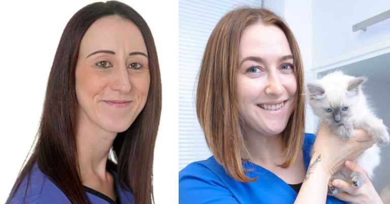 Linnaeus appoints PCAs to clinical board