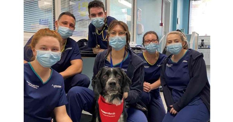 Pioneering treatment saves Riley from rare and aggressive form of anaemia