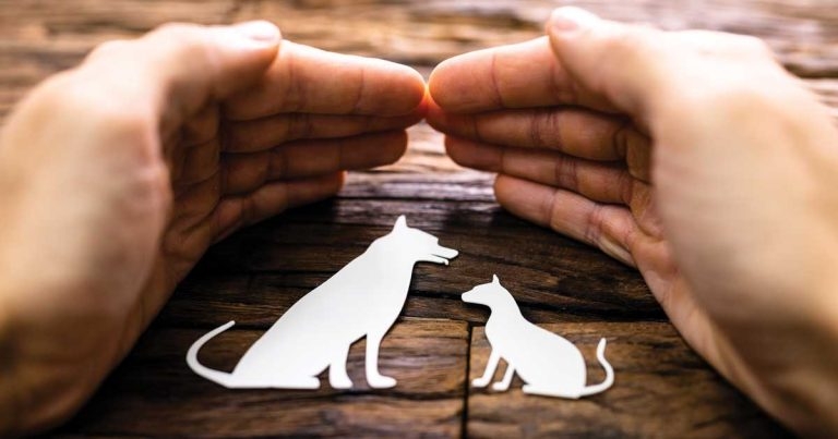 Covering all the bases – talking about insurance