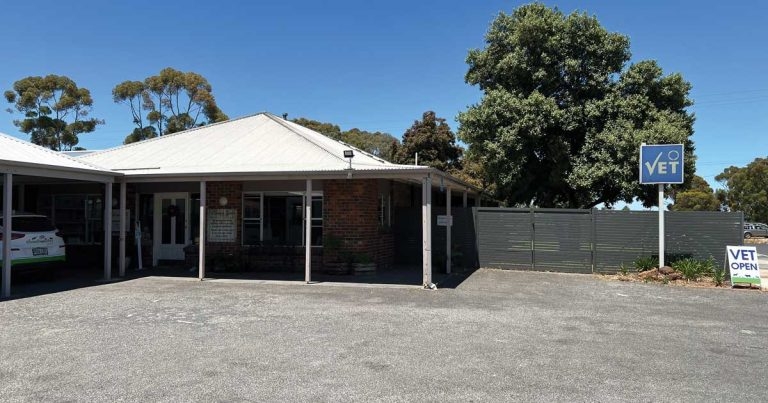 Practice Profile: Barossa Veterinary Service