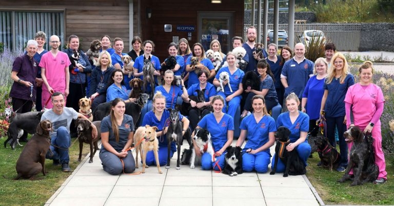 Wear Referrals team on TV next week