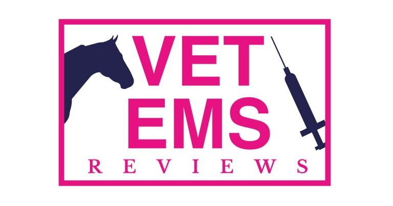 Student reveals EMS placement database project