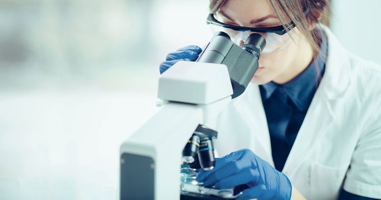 MSD opens research bursary applications