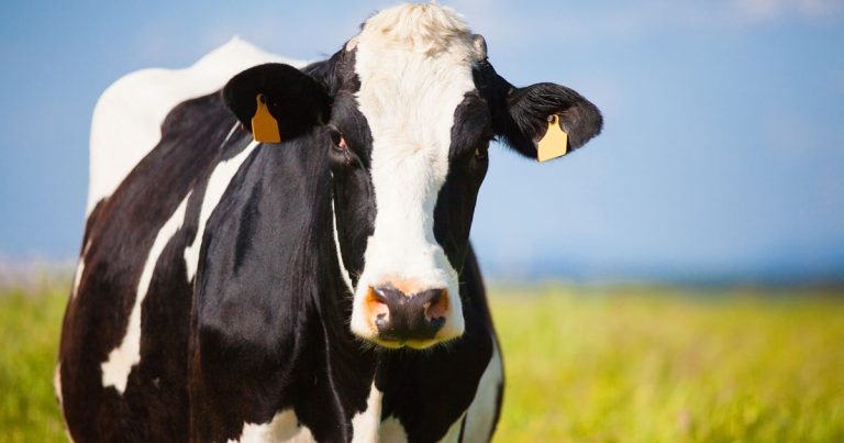 Clinical conundrum part two – a suggested answer