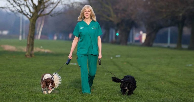 Dog’s headbutt saves VN’s life after uncovering tumour