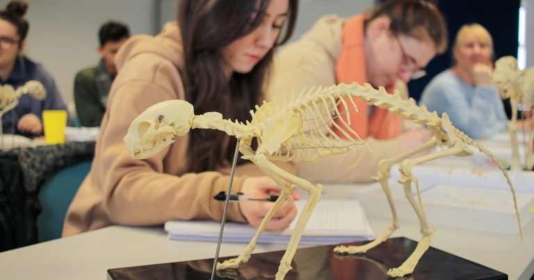 CVTC celebrates VN training module pass rate and Ofsted success