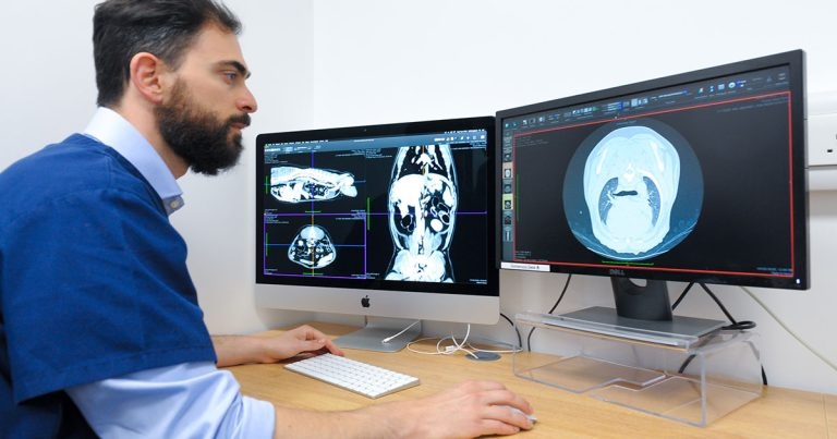 Linnaeus partnership offers diagnostic imaging training to residents