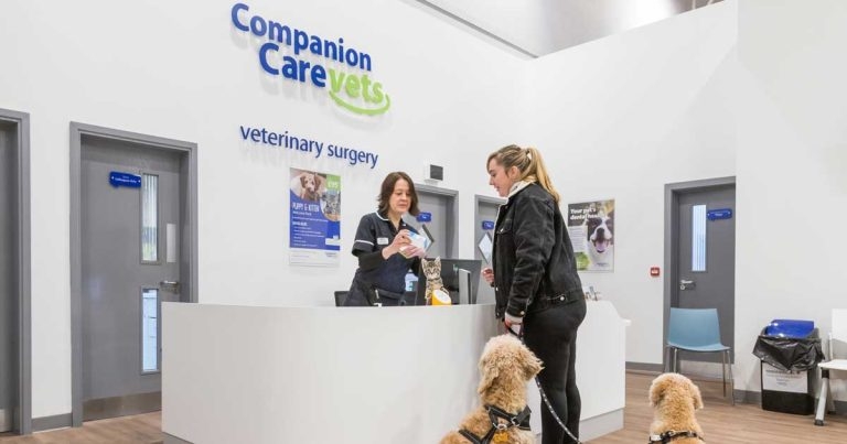Companion Care Croydon expands to meet demand