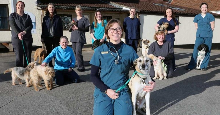 Welsh practice first in country to become employee owned