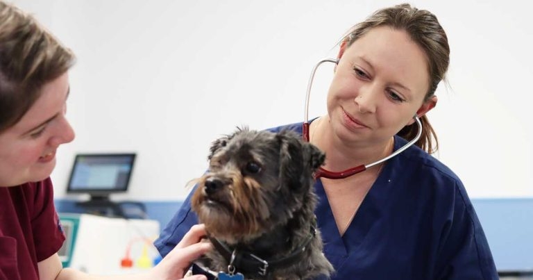 CVS to increase company sick pay for staff