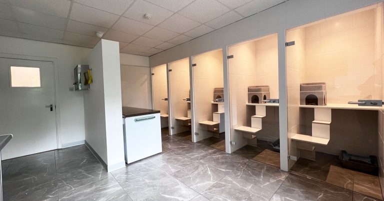 Wales’ first radioiodine unit for treating hyperthyroid cats opens