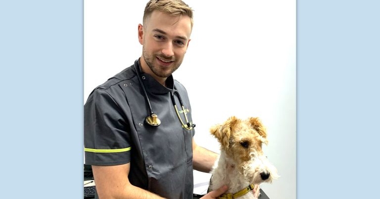 Refugee consultation inspires Ukraine walk challenge