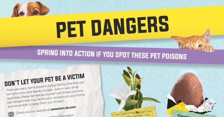 Springtime pet poison awareness drive launched