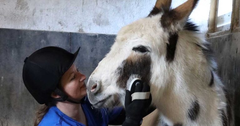 BEVA launches EVN empowerment award