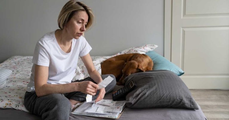 Charities warn of growing demand as pet food donation scheme helps thousands